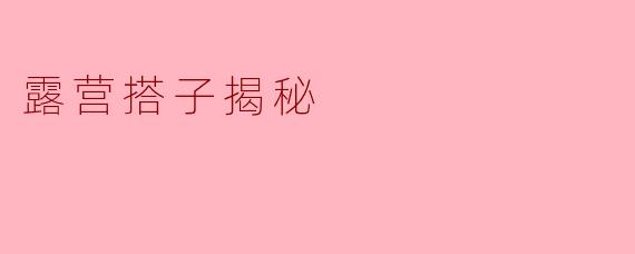 露营搭子揭秘
