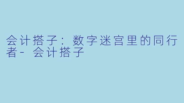 会计搭子：数字迷宫里的同行者-会计搭子
