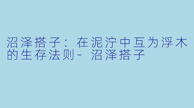 沼泽搭子:在泥泞中互为浮木的生存法则-沼泽搭子
