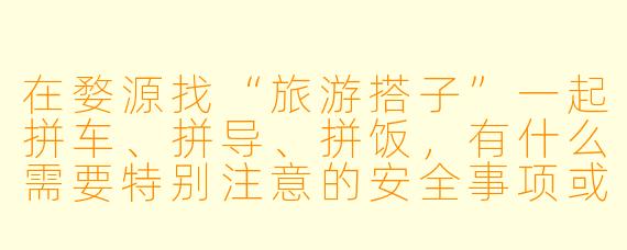 在婺源找“旅游搭子”一起拼车、拼导、拼饭,有什么需要特别注意的安全事项或实用建议?