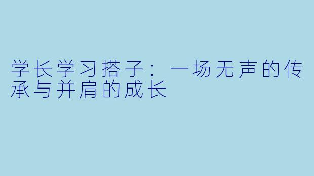 学长学习搭子：一场无声的传承与并肩的成长