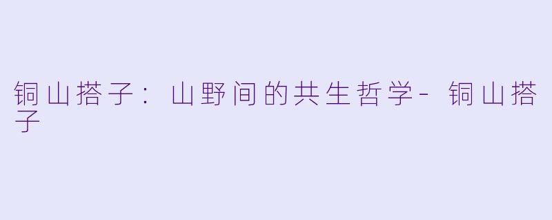 铜山搭子：山野间的共生哲学-铜山搭子