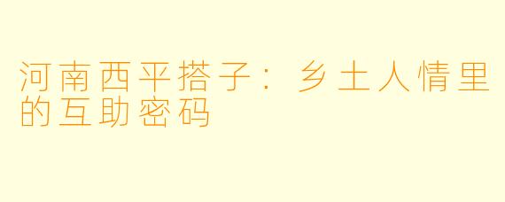 河南西平搭子：乡土人情里的互助密码