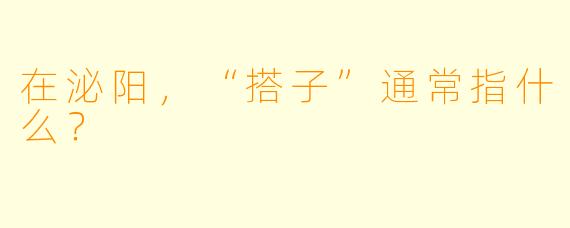在泌阳，“搭子”通常指什么？