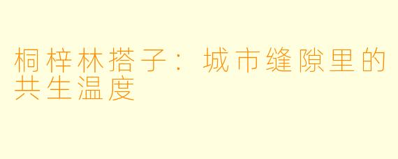 桐梓林搭子:城市缝隙里的共生温度
