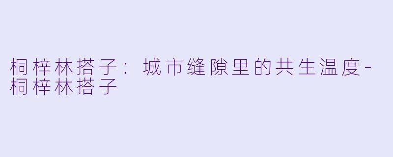 桐梓林搭子:城市缝隙里的共生温度-桐梓林搭子