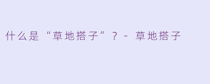 什么是“草地搭子”？-草地搭子