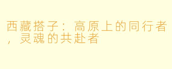 西藏搭子：高原上的同行者，灵魂的共赴者