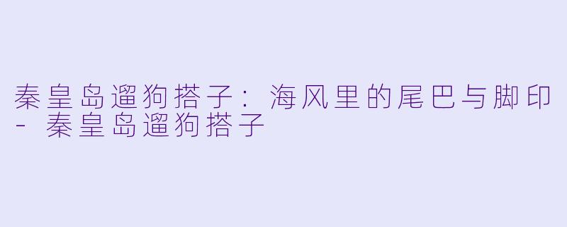 秦皇岛遛狗搭子：海风里的尾巴与脚印-秦皇岛遛狗搭子