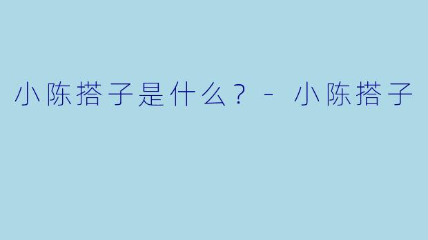 小陈搭子是什么？-小陈搭子