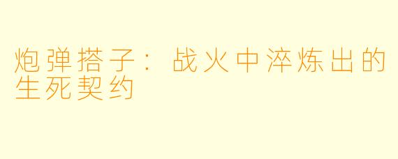 炮弹搭子：战火中淬炼出的生死契约