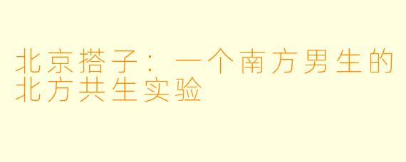 北京搭子：一个南方男生的北方共生实验