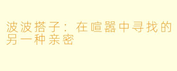 波波搭子：在喧嚣中寻找的另一种亲密
