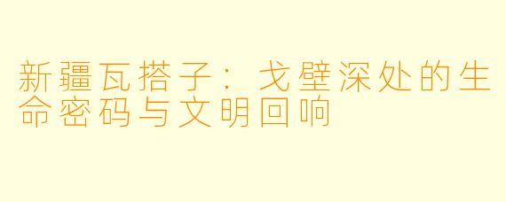 新疆瓦搭子：戈壁深处的生命密码与文明回响