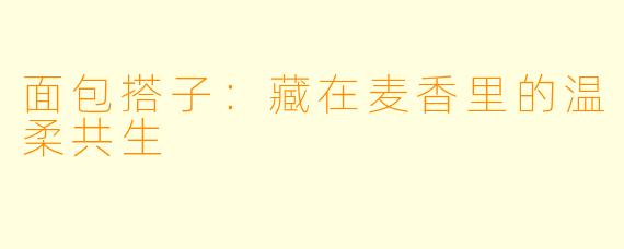 面包搭子：藏在麦香里的温柔共生