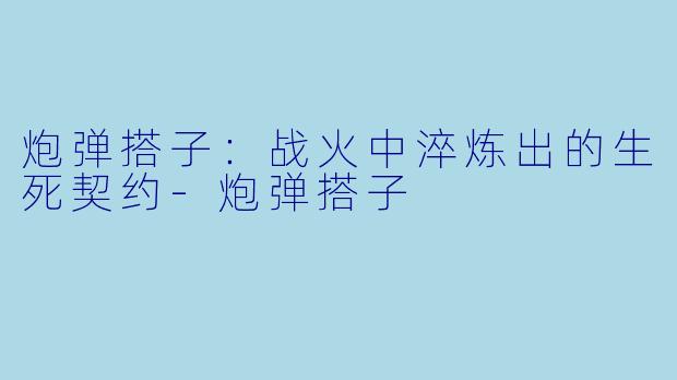 炮弹搭子：战火中淬炼出的生死契约-炮弹搭子