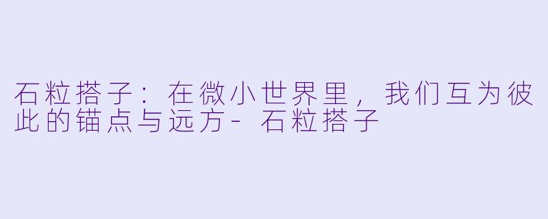 石粒搭子：在微小世界里，我们互为彼此的锚点与远方-石粒搭子