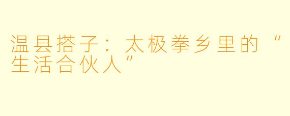 温县搭子：太极拳乡里的“生活合伙人”