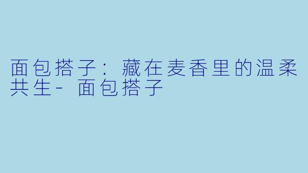 面包搭子：藏在麦香里的温柔共生-面包搭子