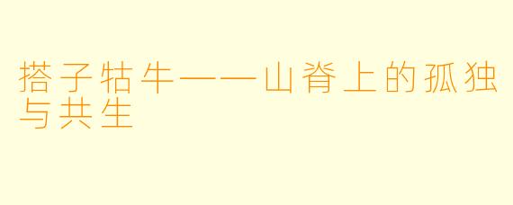 搭子牯牛——山脊上的孤独与共生