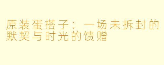 原装蛋搭子:一场未拆封的默契与时光的馈赠