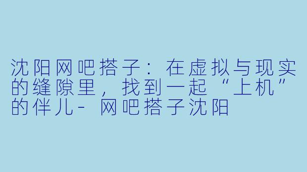 沈阳网吧搭子:在虚拟与现实的缝隙里,找到一起“上机”的伴儿-网吧搭子沈阳