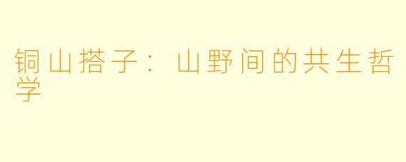 铜山搭子：山野间的共生哲学