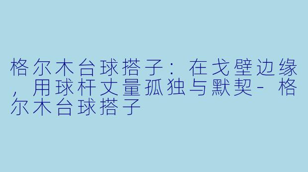 格尔木台球搭子:在戈壁边缘,用球杆丈量孤独与默契-格尔木台球搭子