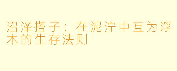 沼泽搭子：在泥泞中互为浮木的生存法则