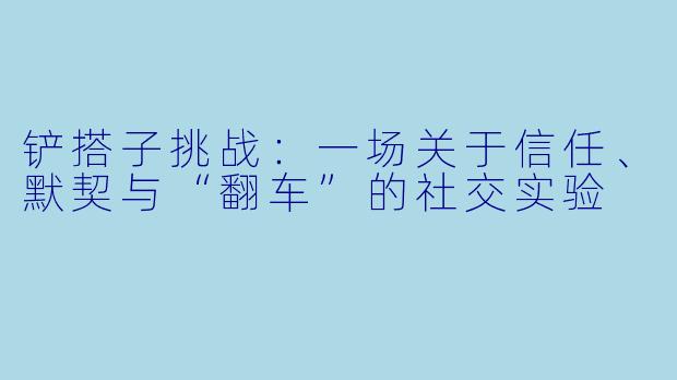 铲搭子挑战:一场关于信任、默契与“翻车”的社交实验