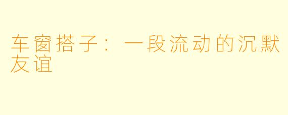 车窗搭子：一段流动的沉默友谊
