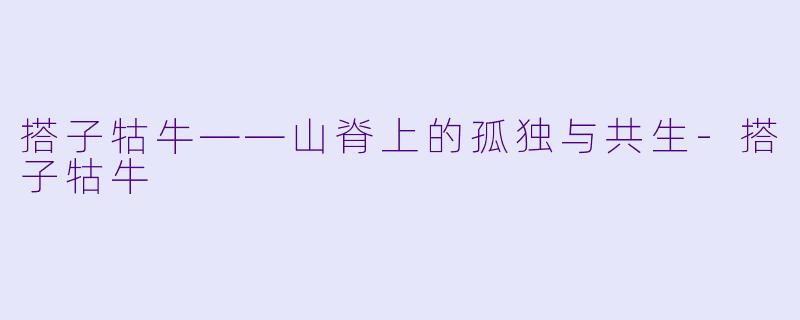 搭子牯牛——山脊上的孤独与共生-搭子牯牛