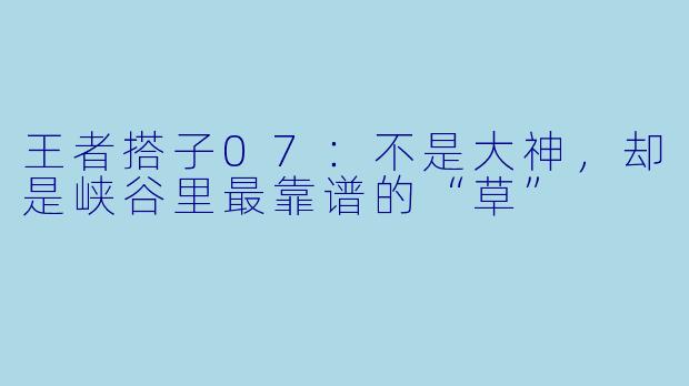 王者搭子07：不是大神，却是峡谷里最靠谱的“草”