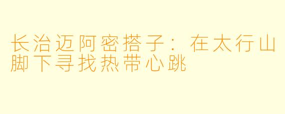 长治迈阿密搭子:在太行山脚下寻找热带心跳