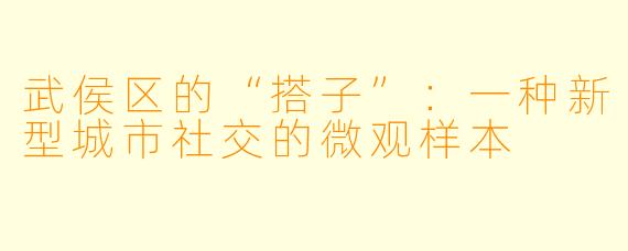 武侯区的“搭子”：一种新型城市社交的微观样本