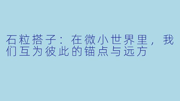 石粒搭子：在微小世界里，我们互为彼此的锚点与远方