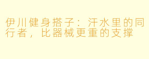 伊川健身搭子:汗水里的同行者,比器械更重的支撑