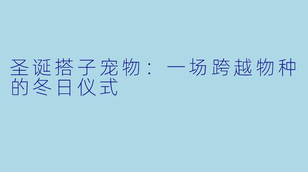 圣诞搭子宠物：一场跨越物种的冬日仪式