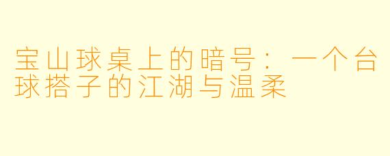 宝山球桌上的暗号：一个台球搭子的江湖与温柔
