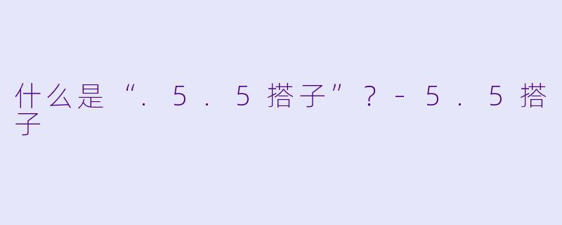什么是“.5.5搭子”？-5.5搭子