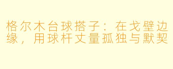 格尔木台球搭子:在戈壁边缘,用球杆丈量孤独与默契