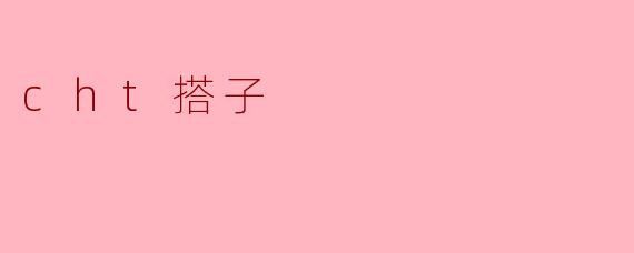 cht搭子