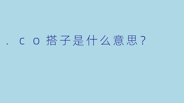 .co搭子是什么意思？