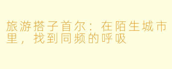 旅游搭子首尔:在陌生城市里,找到同频的呼吸