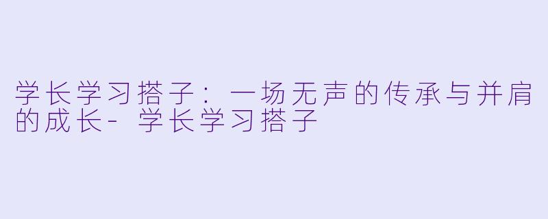 学长学习搭子：一场无声的传承与并肩的成长-学长学习搭子