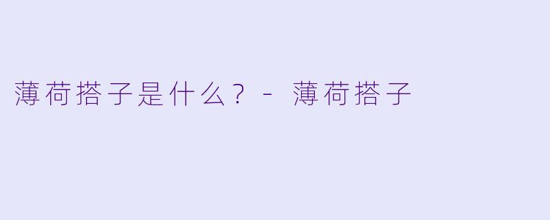 薄荷搭子是什么？-薄荷搭子