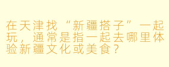 在天津找“新疆搭子”一起玩，通常是指一起去哪里体验新疆文化或美食？