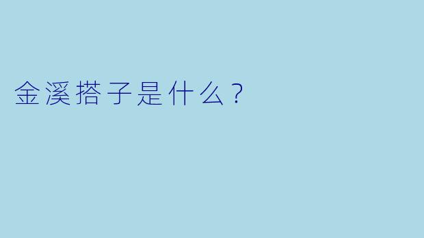 金溪搭子是什么？