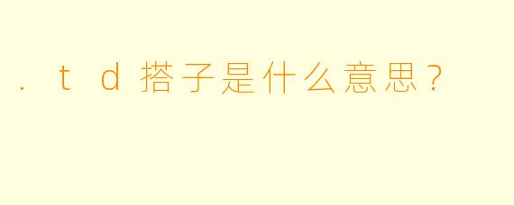 .td搭子是什么意思？