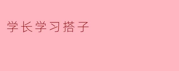 学长学习搭子
